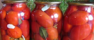 Как купорить помидоры (томаты) правильно