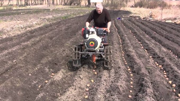 Как культиватором нарезать борозды под картофель фото и видео