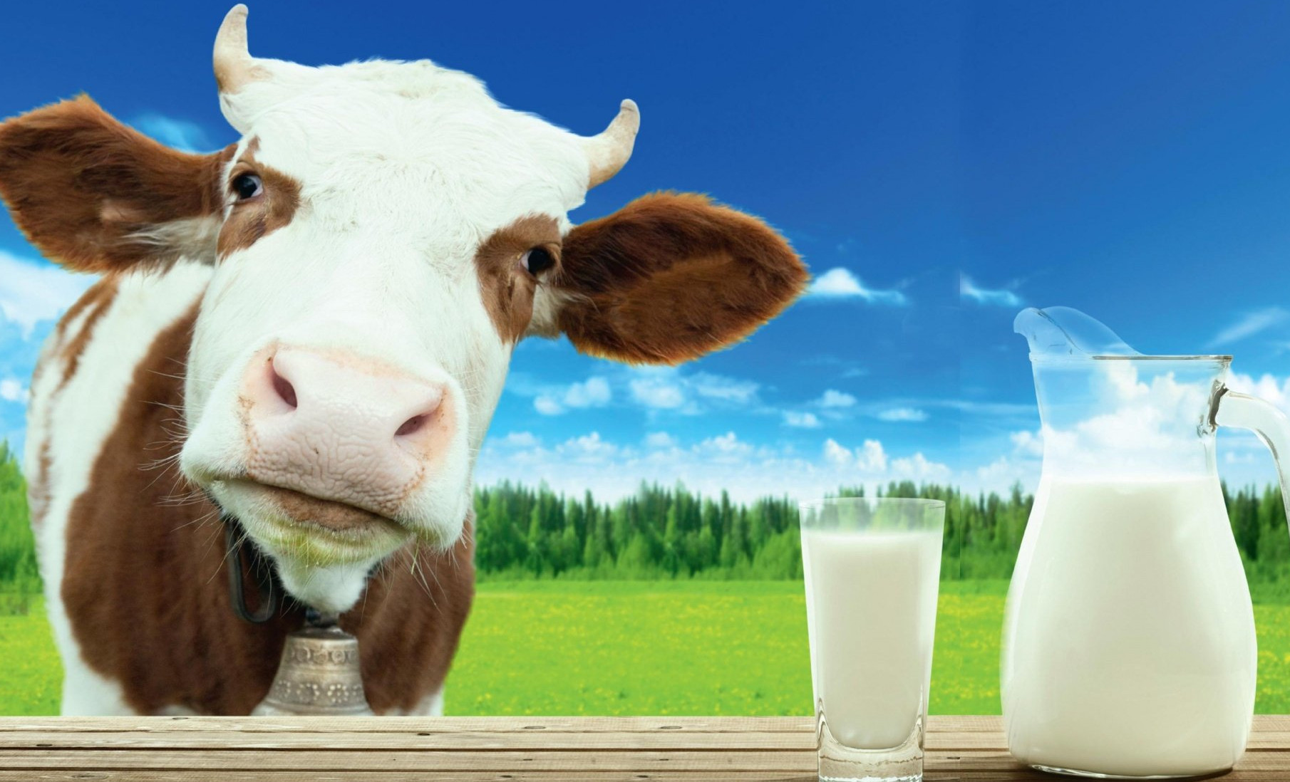 Плюсы фермерского молока